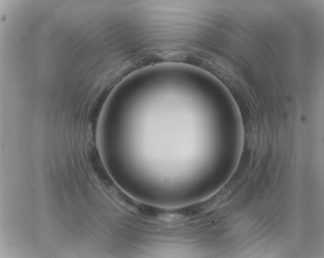 X0000065240748200602242024