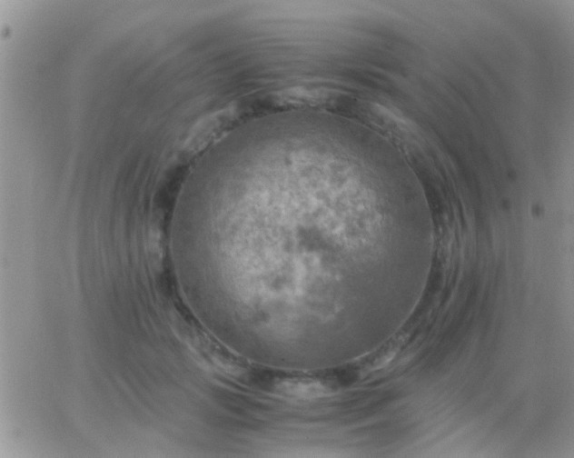 X0000065240749200602242024