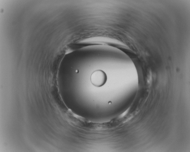 X0000065240750200602242024