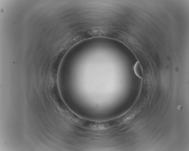 X0000065240751200602242024