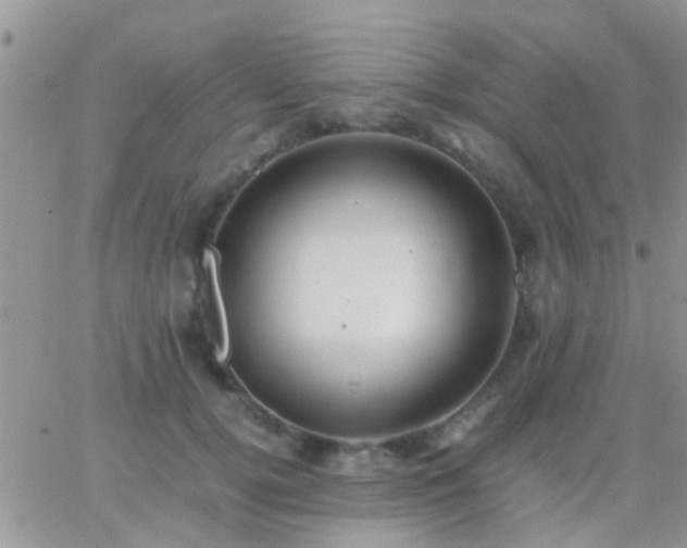 X0000065240752200602242024