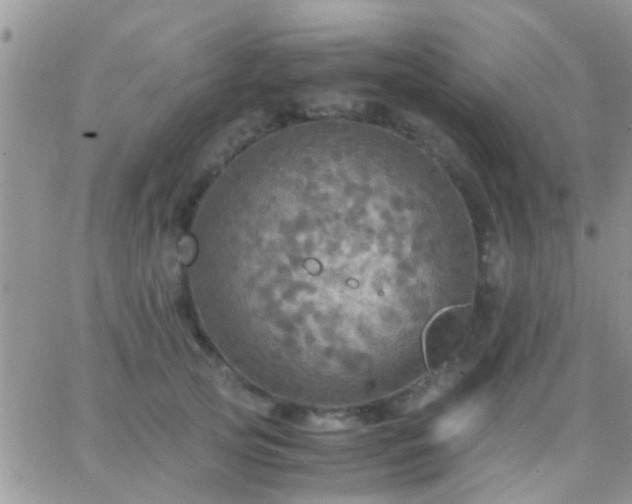 X0000065240753200602242024