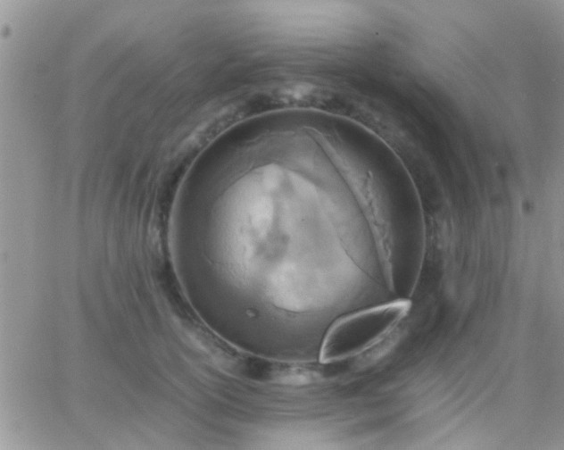 X0000065240754200602242024