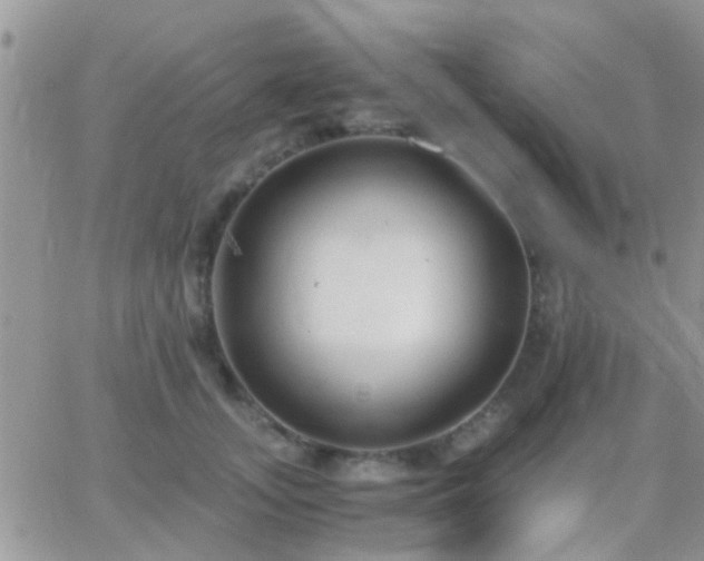 X0000065240755200602242024