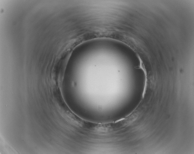 X0000065240756200602242024