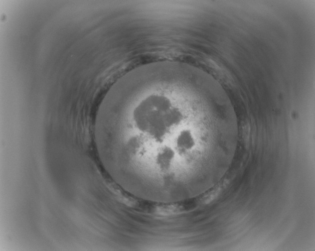 X0000065240757200602242024