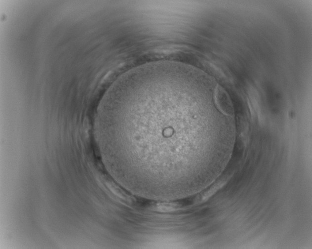 X0000065240758200602242024