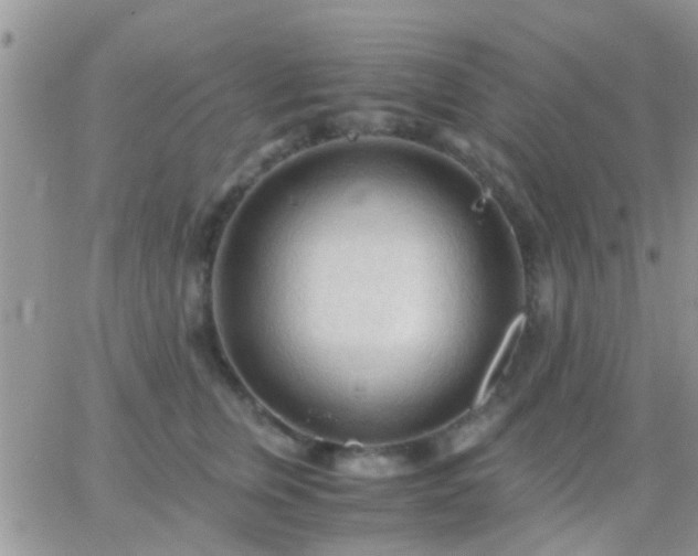 X0000065240759200602242024