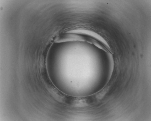 X0000065240760200602242024