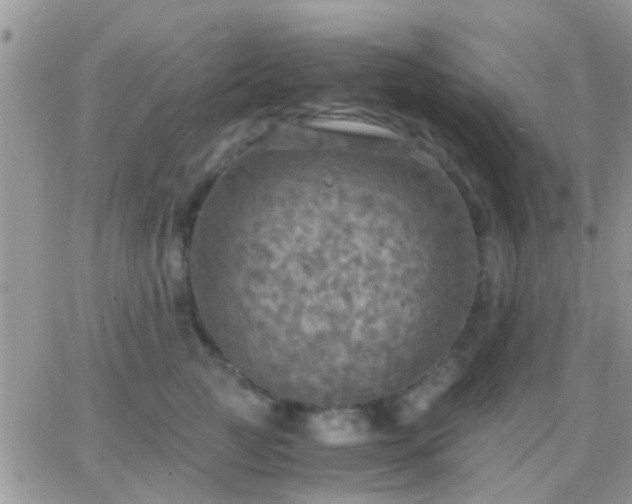 X0000065240761200602242024