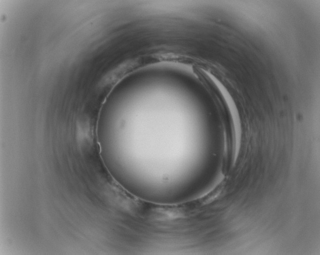 X0000065240763200602242024