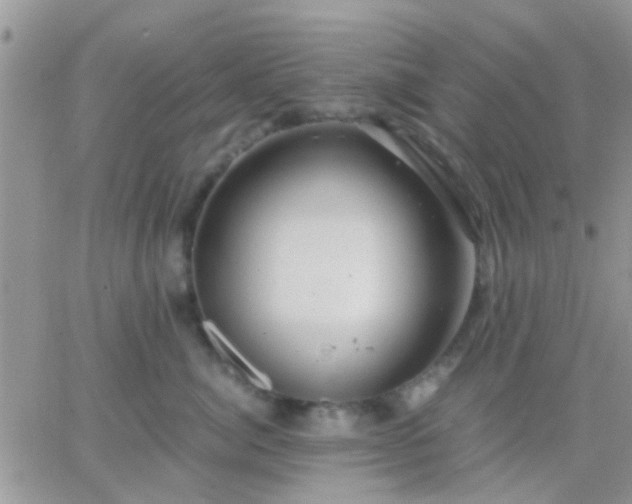 X0000065240764200602242024