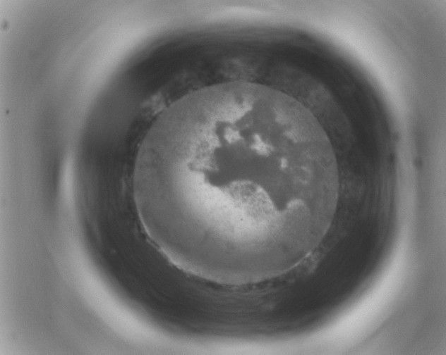 X0000065240765200602242024