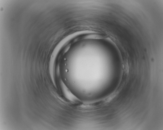 X0000065240766200602242024