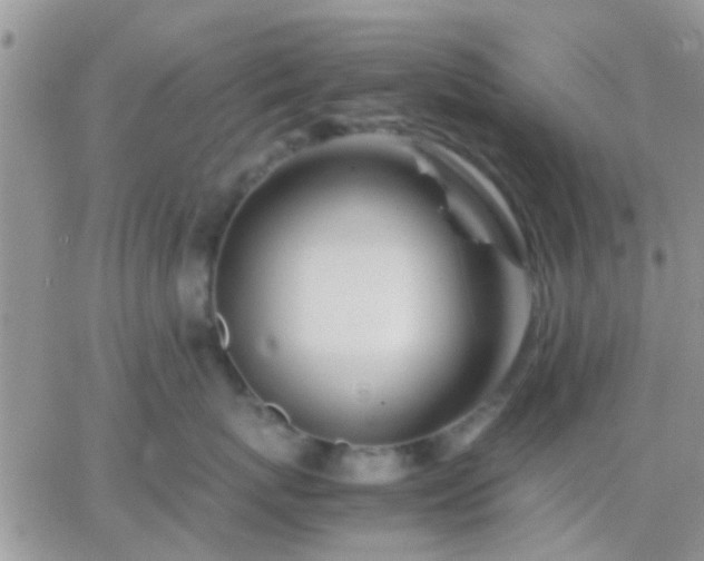 X0000065240767200602242024