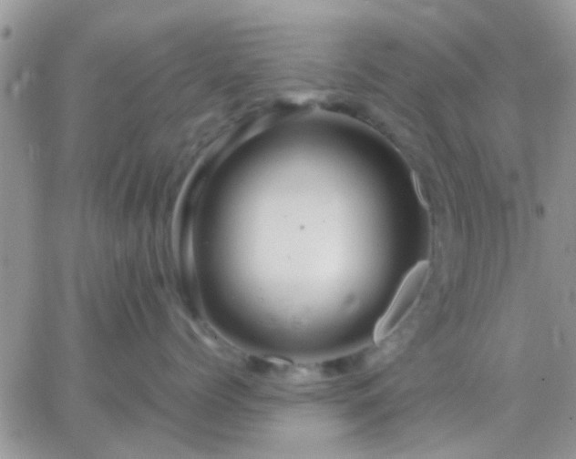 X0000065240768200602242024