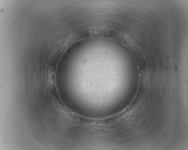 X0000065240770200602242024