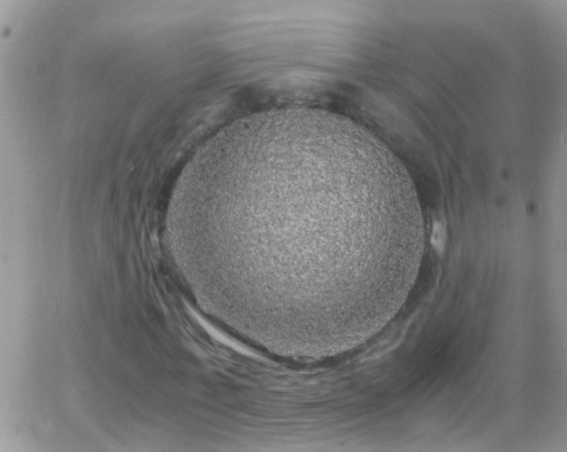 X0000065240771200602242024