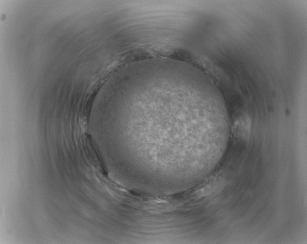 X0000065240772200602242024