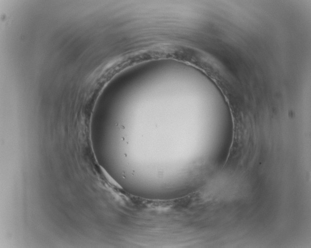 X0000065240773200602242024