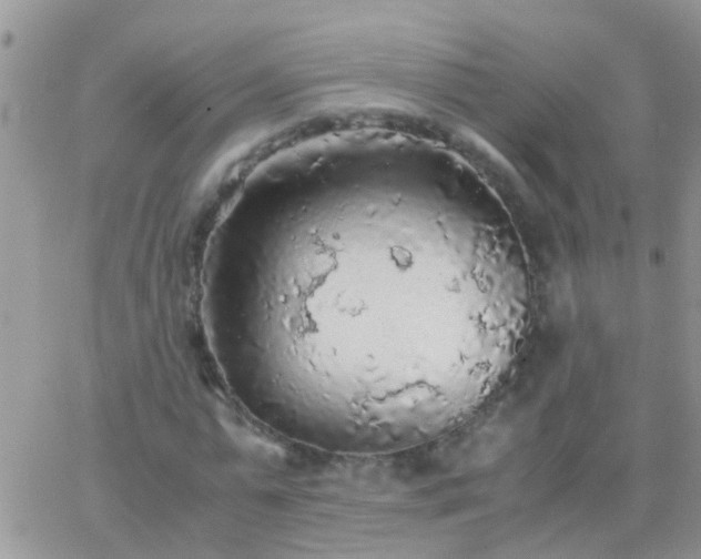 X0000065240775200602242024