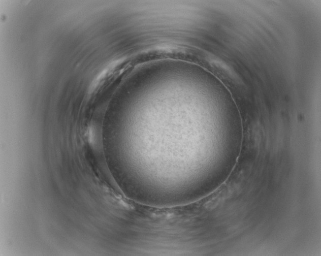 X0000065240776200602242024