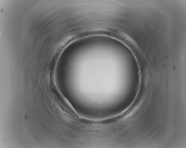 X0000065240777200602242023