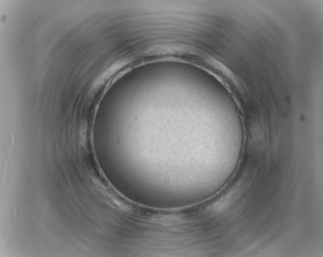 X0000065240778200602242023