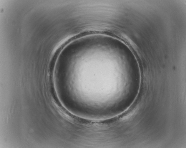 X0000065240779200602242023