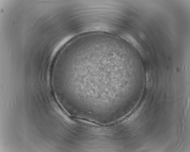 X0000065240780200602242023