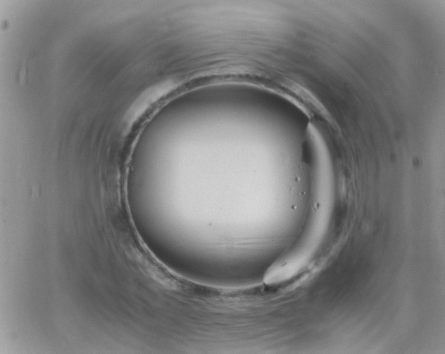 X0000065240781200602242023