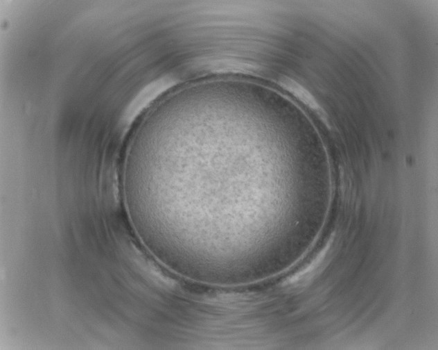 X0000065240782200602242023