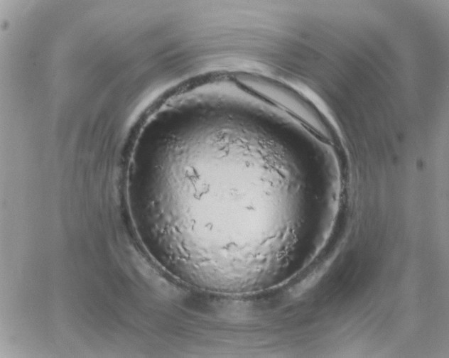 X0000065240783200602242023