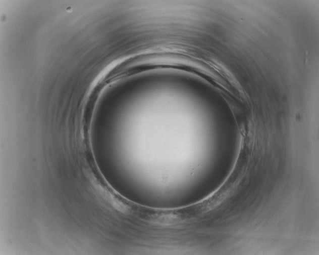 X0000065240784200602242023