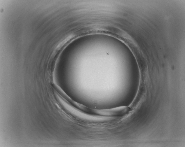 X0000065240785200602242023