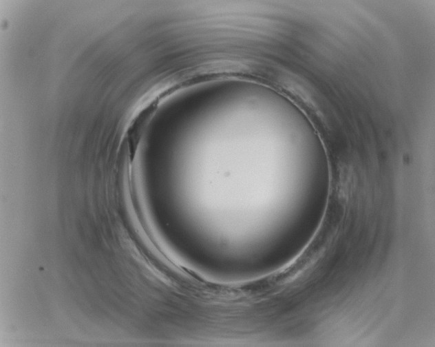 X0000065240786200602242023