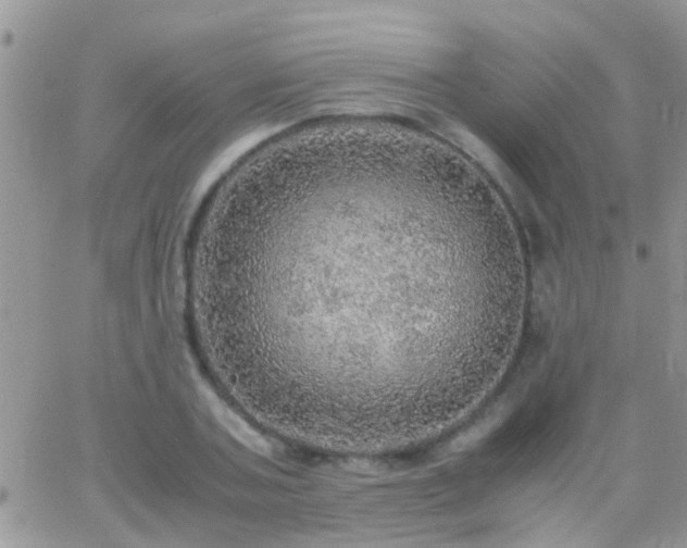 X0000065240787200602242023