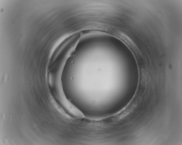 X0000065240788200602242023