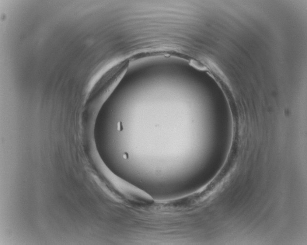 X0000065240789200602242023