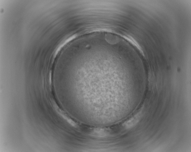 X0000065240790200602242023