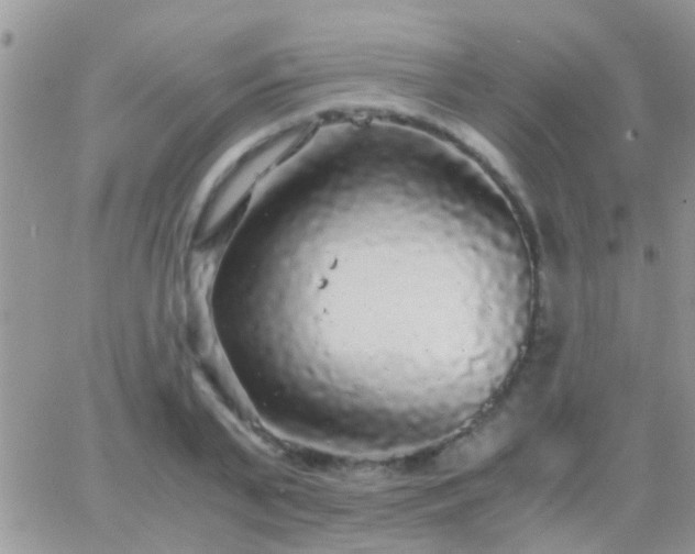 X0000065240791200602242023