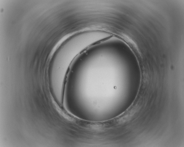 X0000065240792200602242023