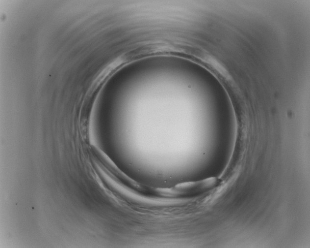 X0000065240793200602242023