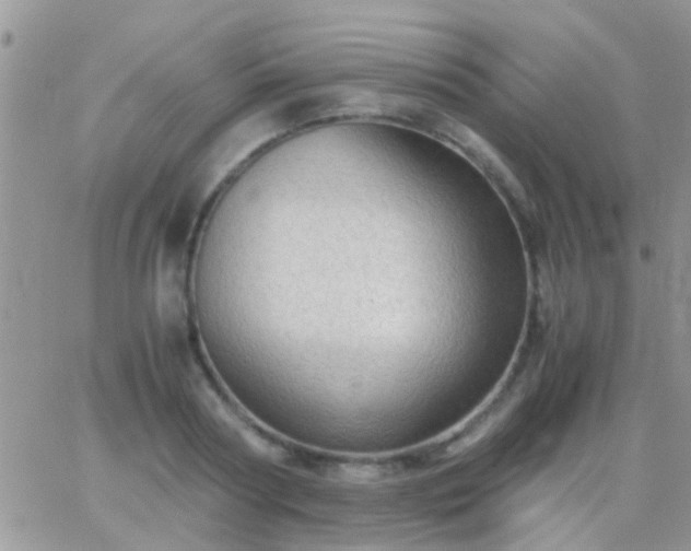 X0000065240794200602242023