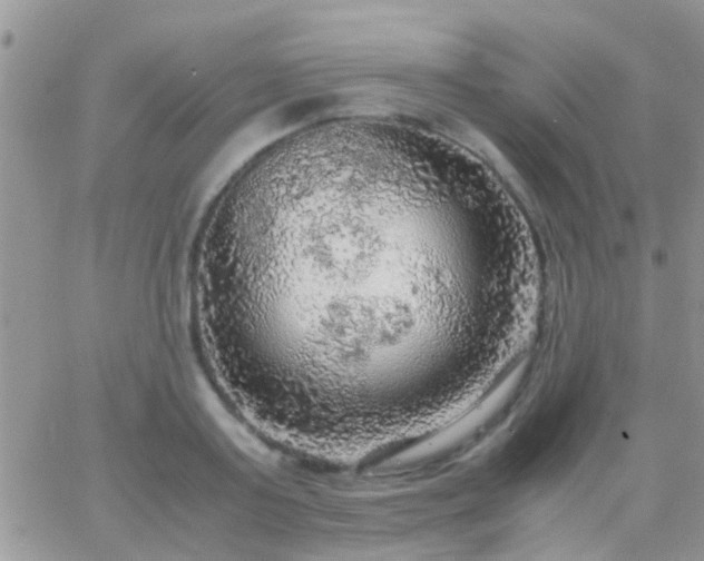 X0000065240795200602242023