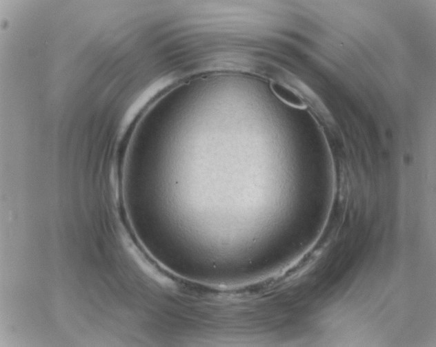 X0000065240796200602242023