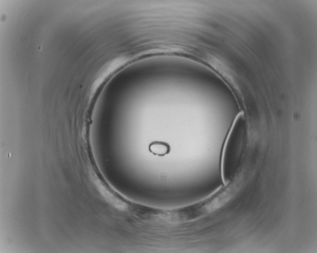 X0000065240797200602242023