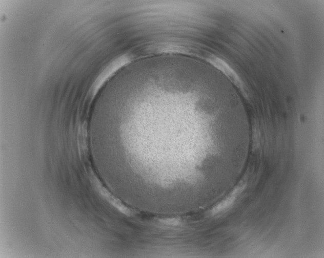 X0000065240798200602242023