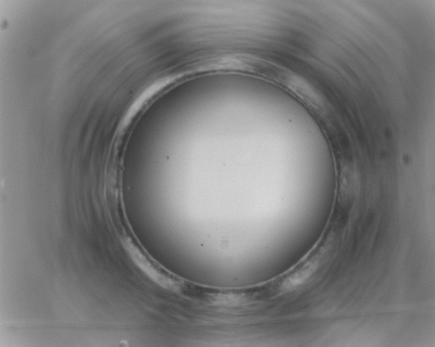 X0000065240800200602242023