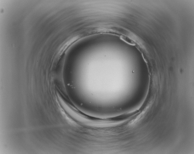 X0000065240801200602242023